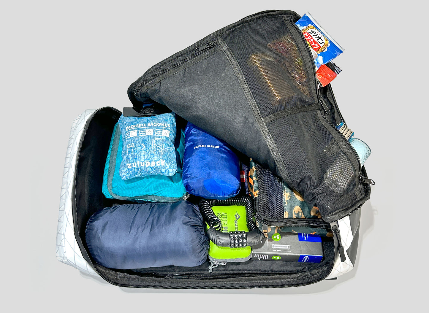 Rover 20L Backpack