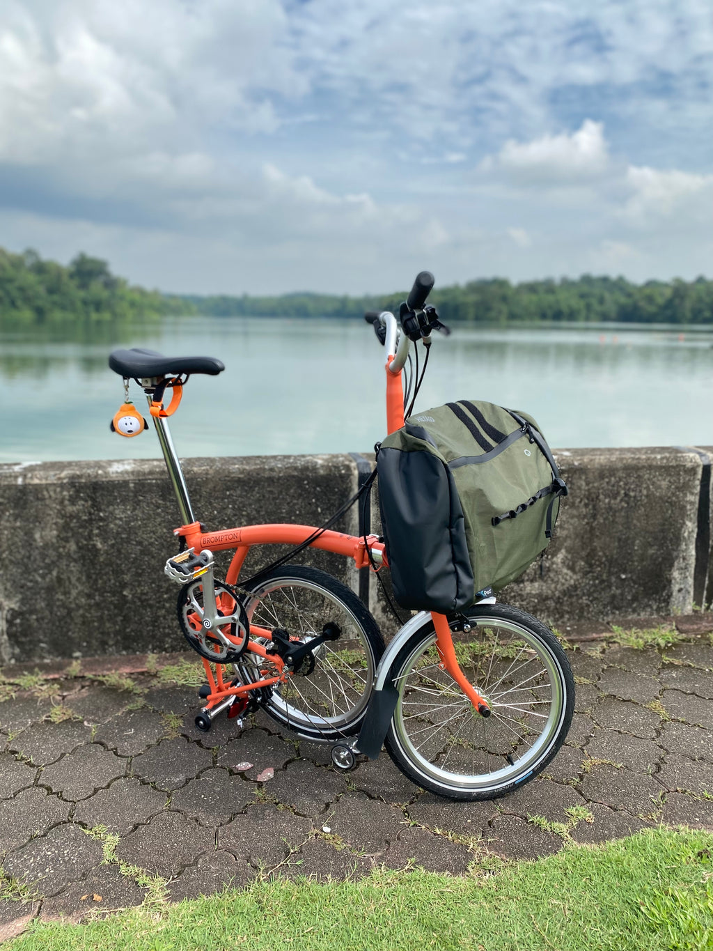 Rover 20L Backpack
