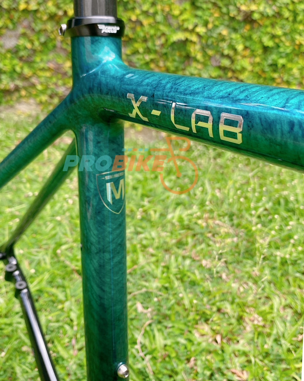 X-LAB RT9 Frameset