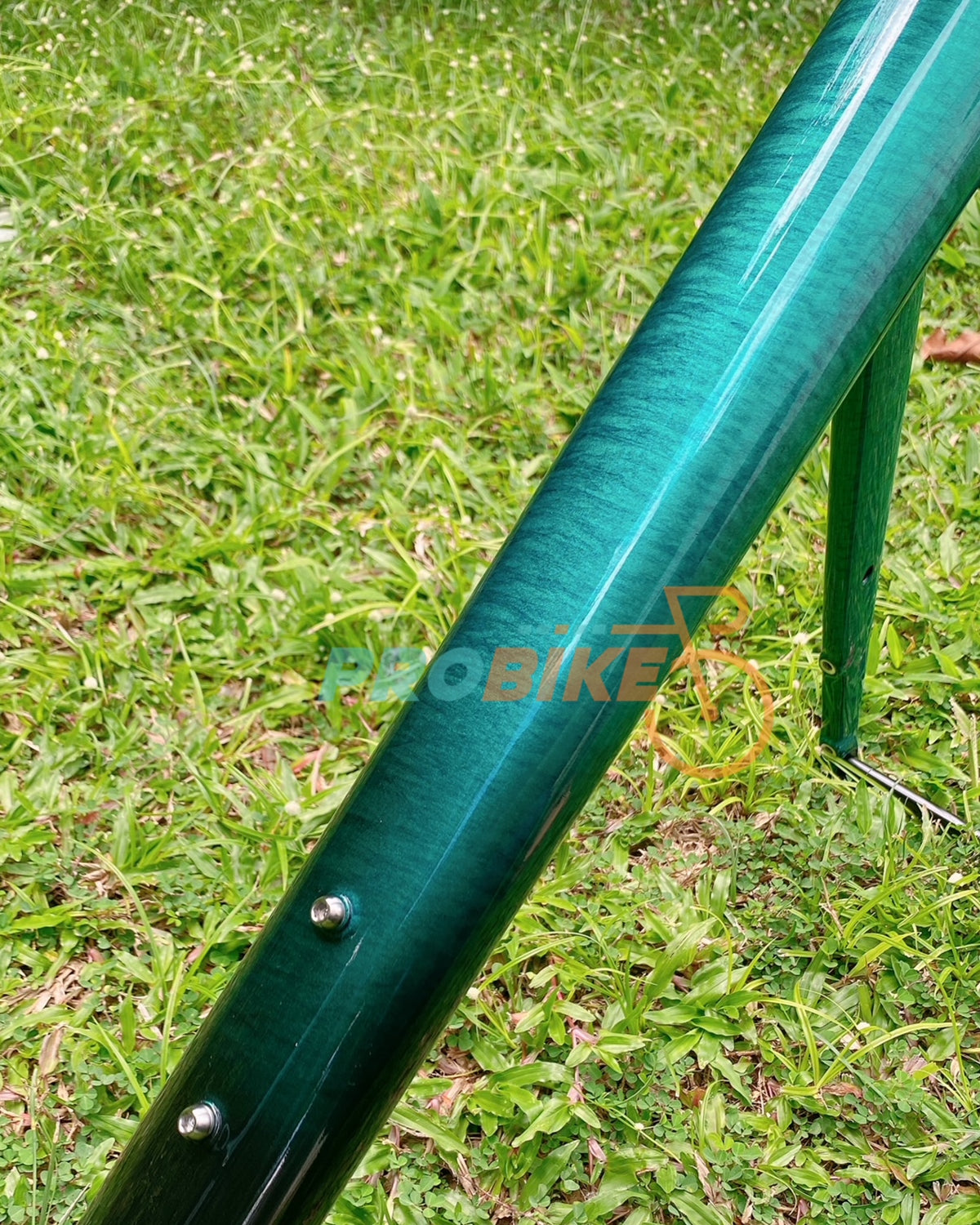 X-LAB RT9 Frameset