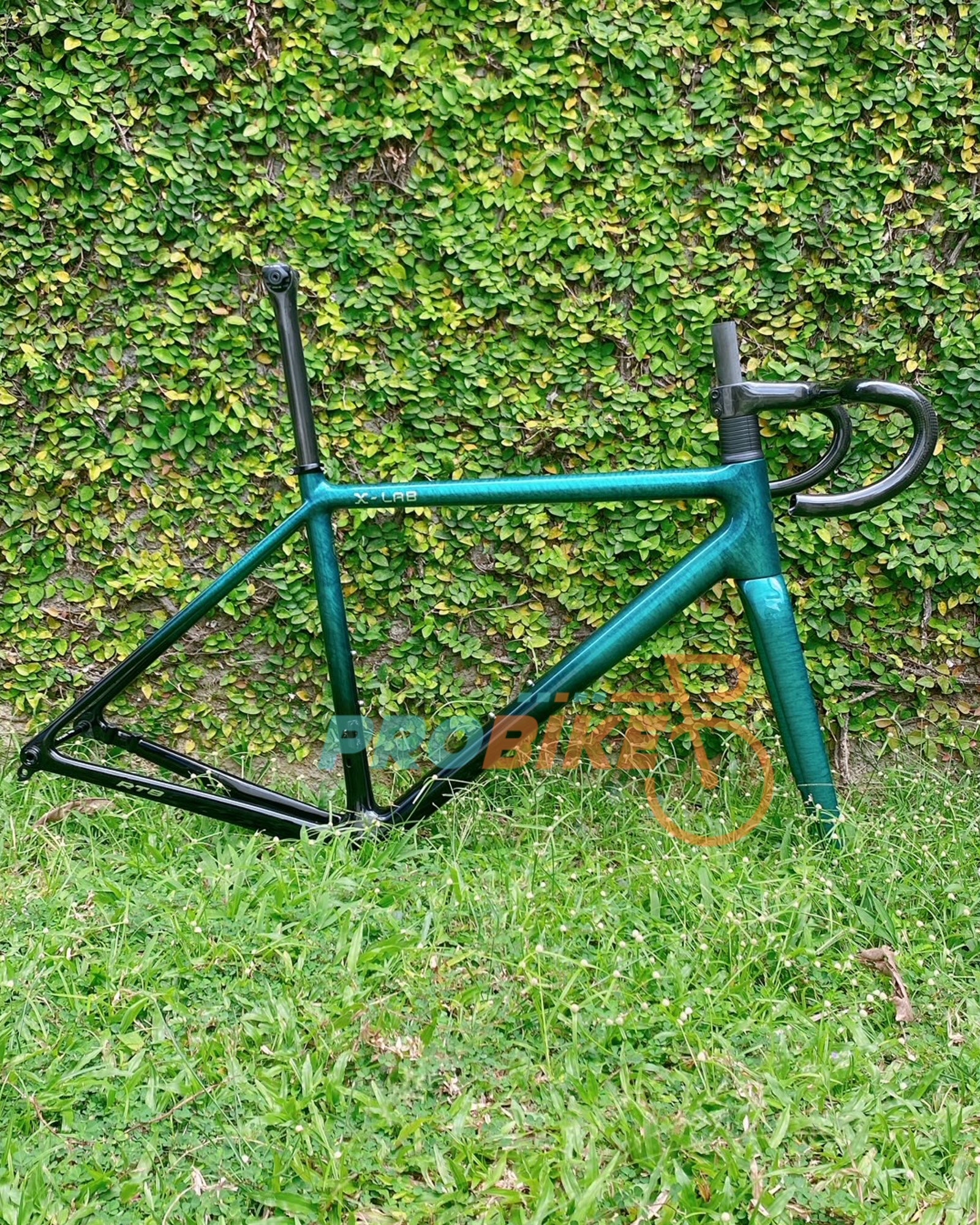 X-LAB RT9 Red E1 Bike