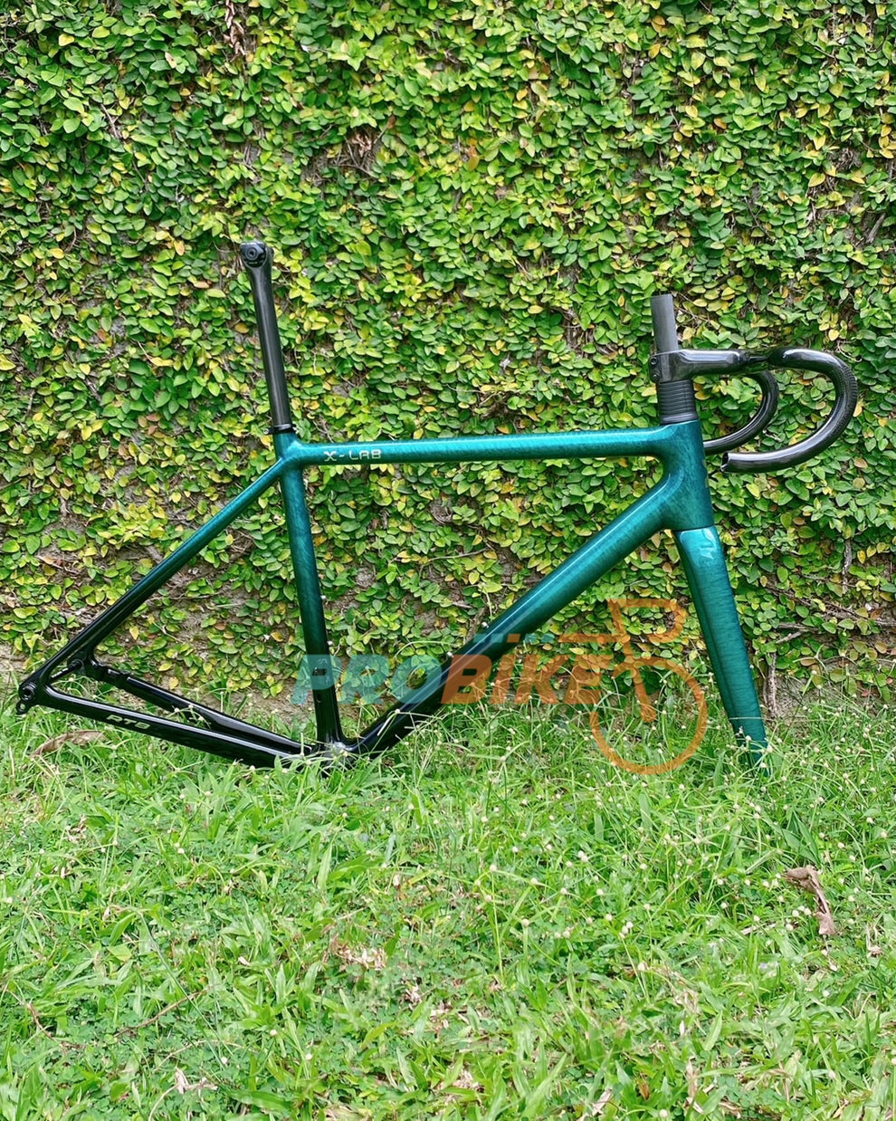 X-LAB RT9 Red E1 Bike – Pro Bike