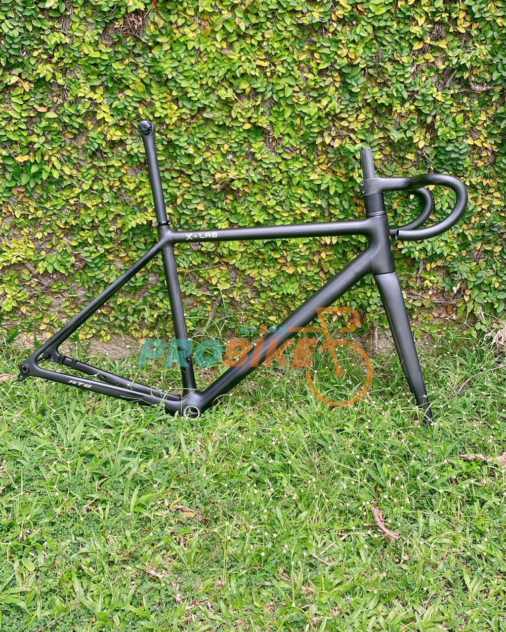 X-LAB RT9 Frameset