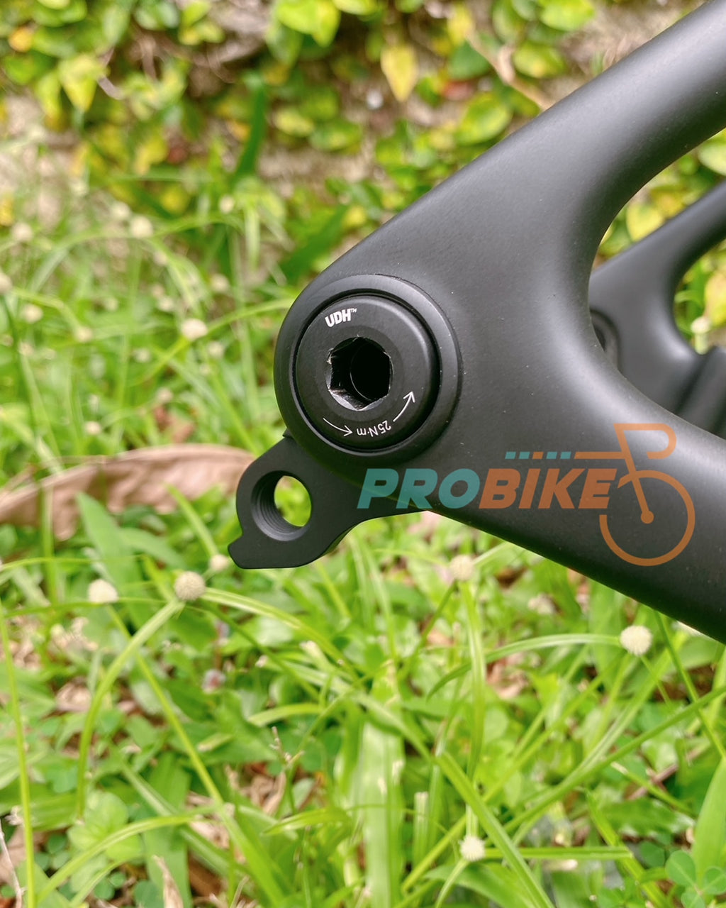 X-LAB RT9 Frameset
