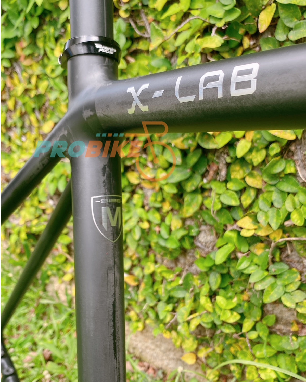 X-LAB RT9 Frameset