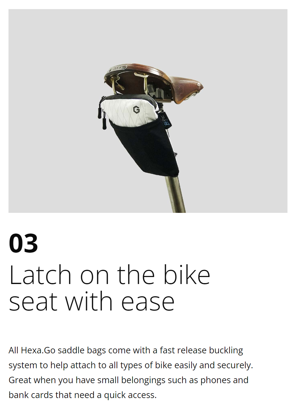 Saddlebag